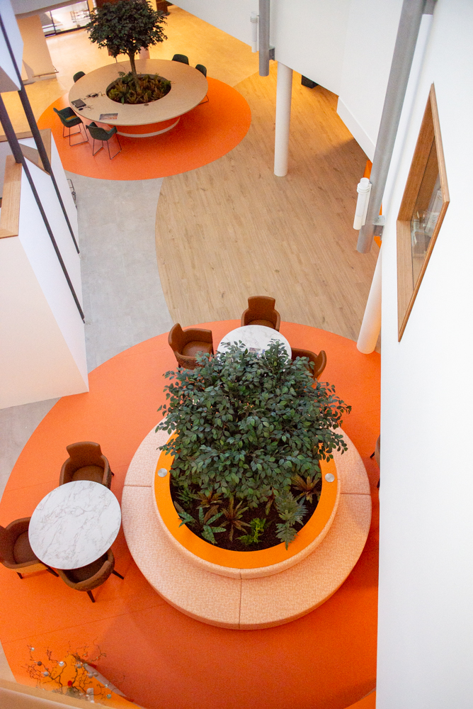 Majella Fotografie & Webstyling 26